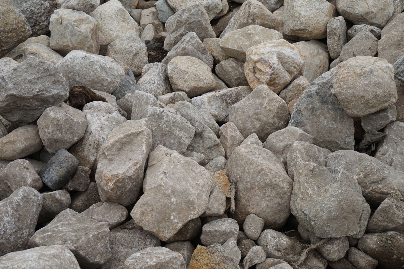 à¸à¸¥à¸à¸²à¸£à¸à¹à¸à¸«à¸²à¸£à¸¹à¸à¸ à¸²à¸à¸ªà¸³à¸«à¸£à¸±à¸ fieldstone