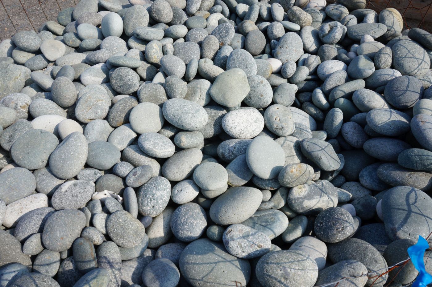 buy natural beach pebbles