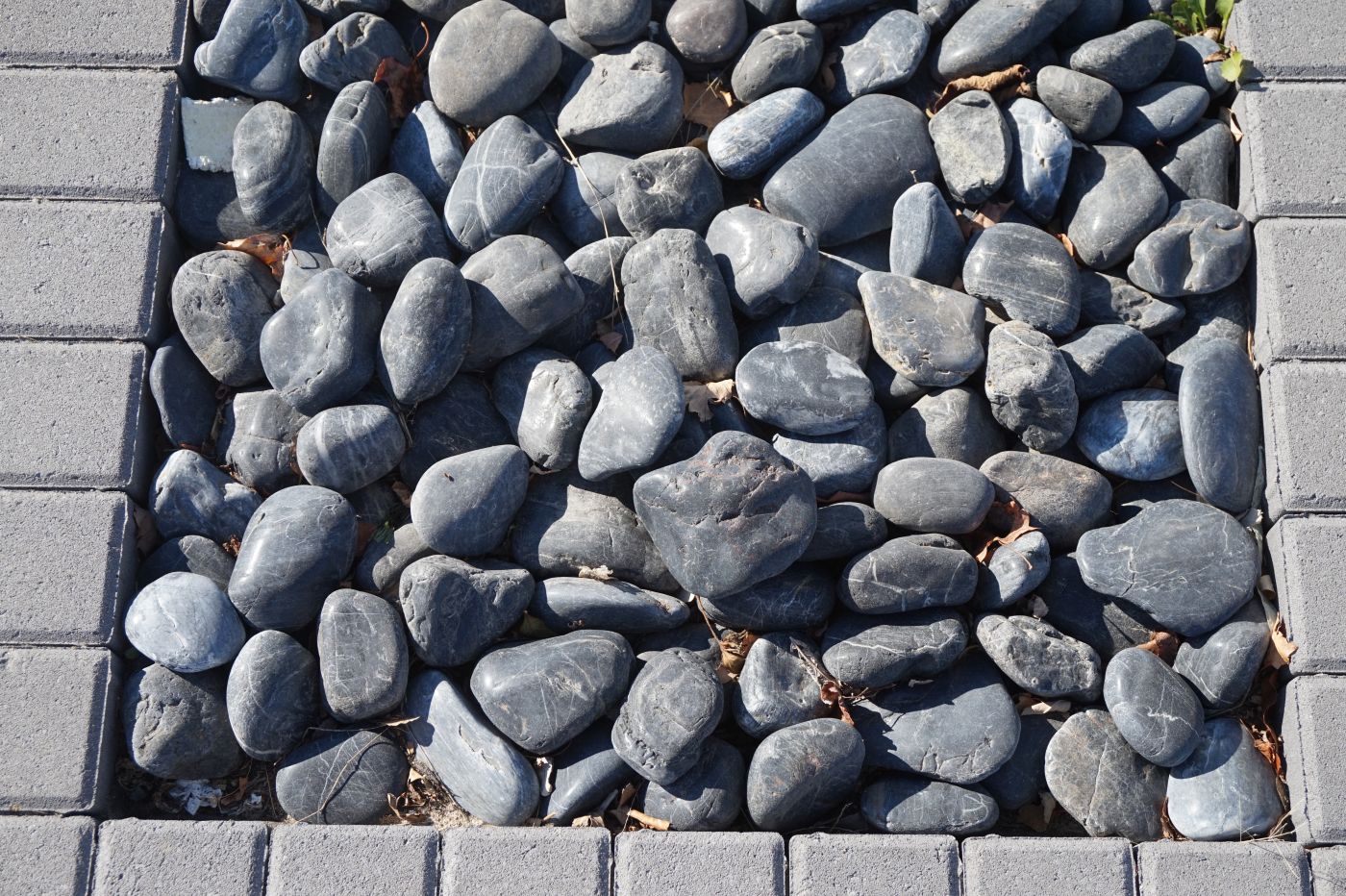 buy polished beach pebbles
